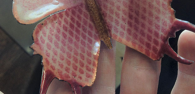 Fragile Life | Copper foil and vitreous enamel | Height 0.8 cm x Length 6.7 cm x Width 7 cm | Copper foil is enamelled and stencilled and then acid etched.
Image of enamelled butterfly